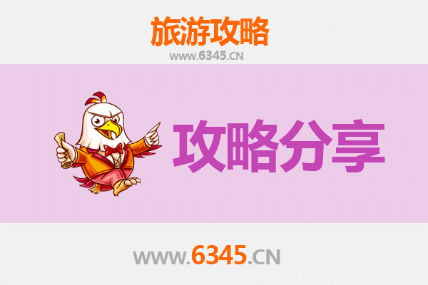 赣州定南至湄洲岛旅游攻略：跟团 vs 自由行深度解析